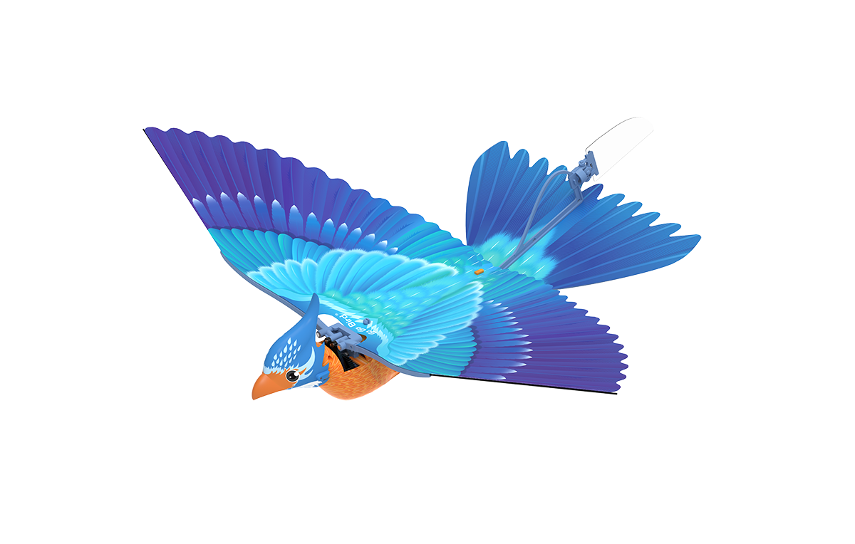 GoGoBird青鸾