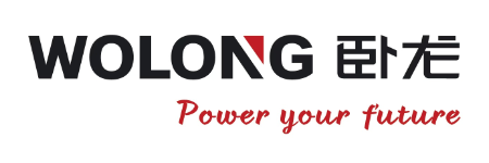 WOLONG ELECTRIC GROUP CO., LTD