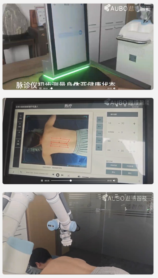 具身机器人